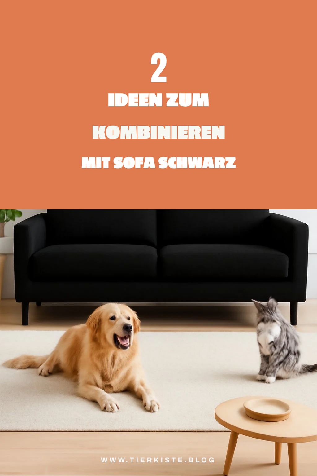 So kombinierst du dein schwarzes Sofa geschickt
