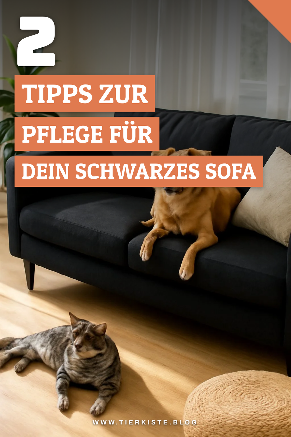 So pflegst du dein schwarzes Sofa richtig