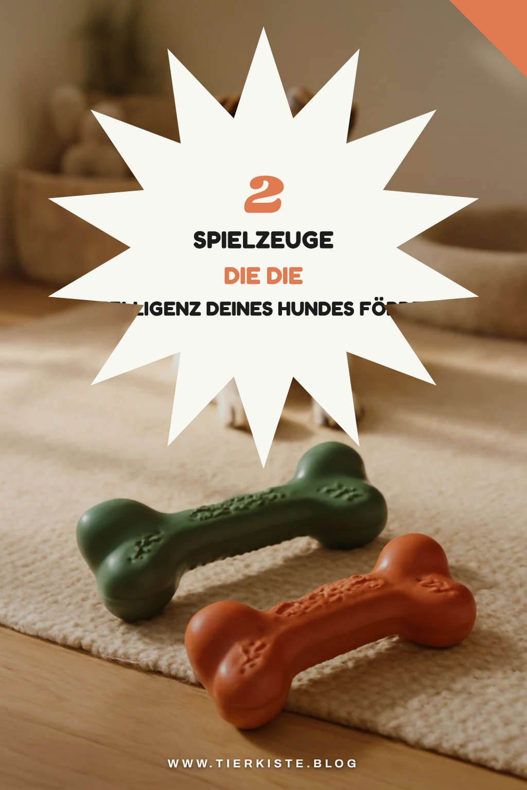 Diese 2 Spielzeuge fördern die Intelligenz deines Hundes