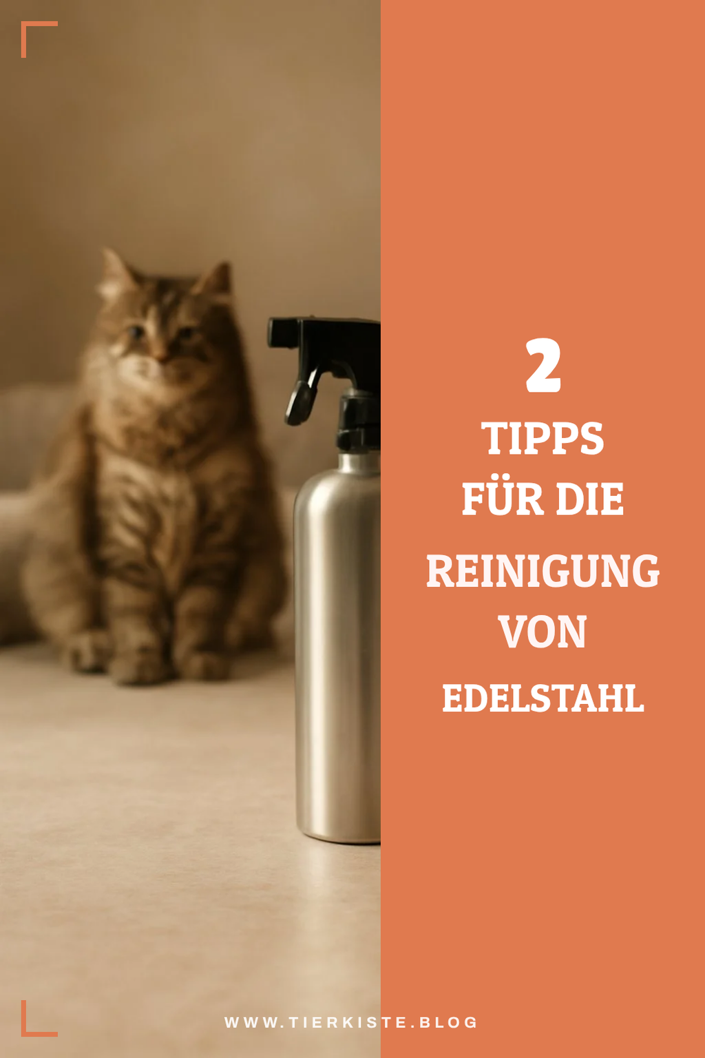 So reinigst du Edelstahl im Geschirrspüler