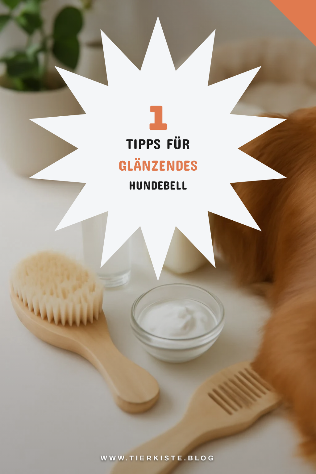 So bleibt das Fell deines Hundes glänzend und gesund