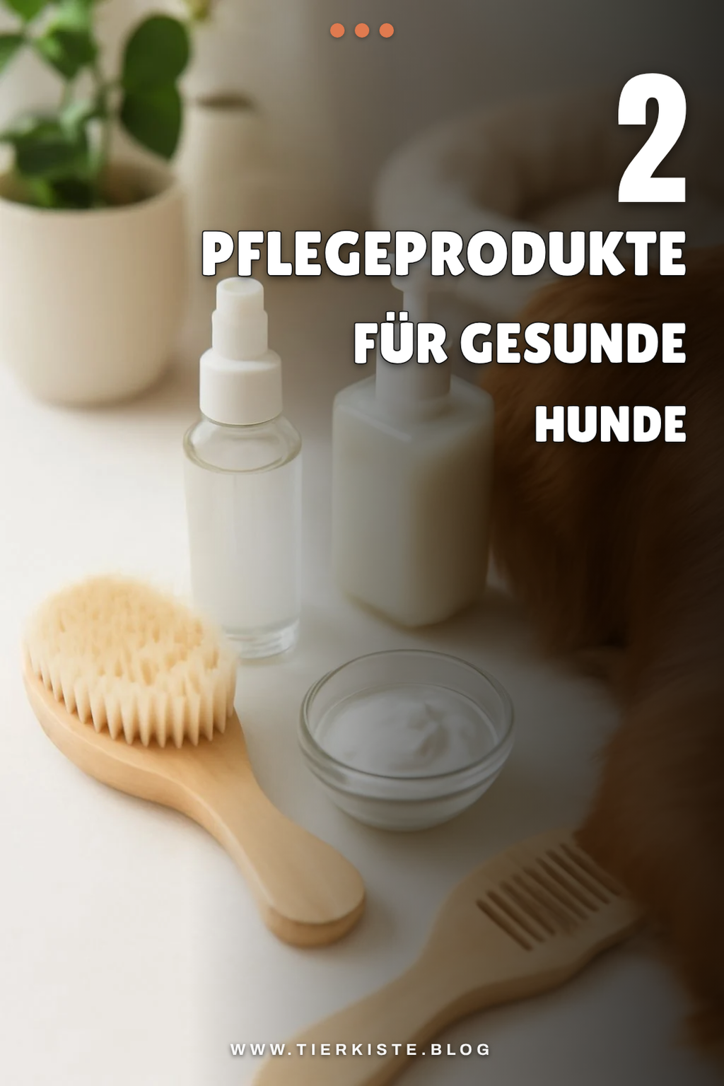 Wirksame Pflegetipps für das Hundefell