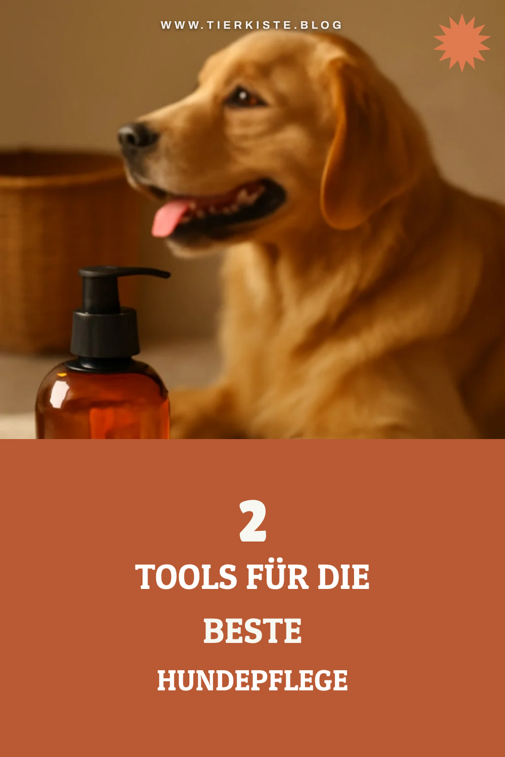 Die besten Tools für die Fellpflege