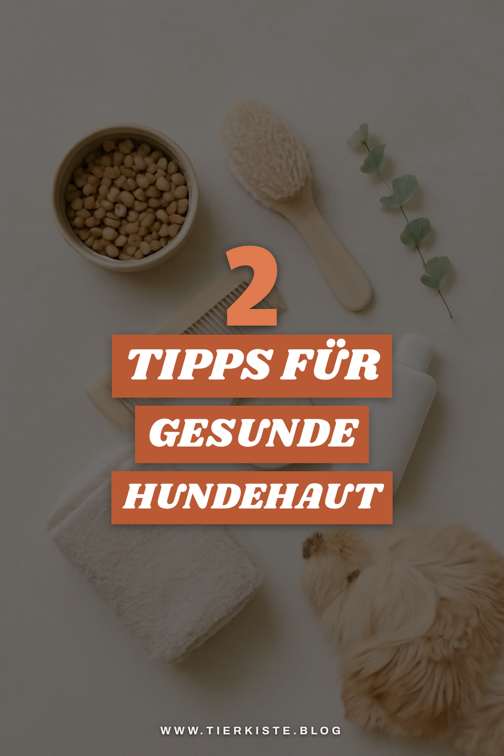 Hautgesundheit durch richtige Pflege