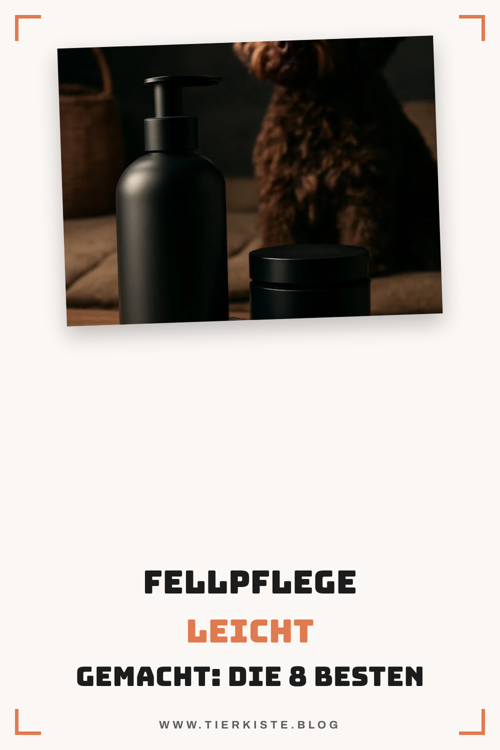 Fellpflege leicht gemacht: Die 8 besten Hundebürsten im Test