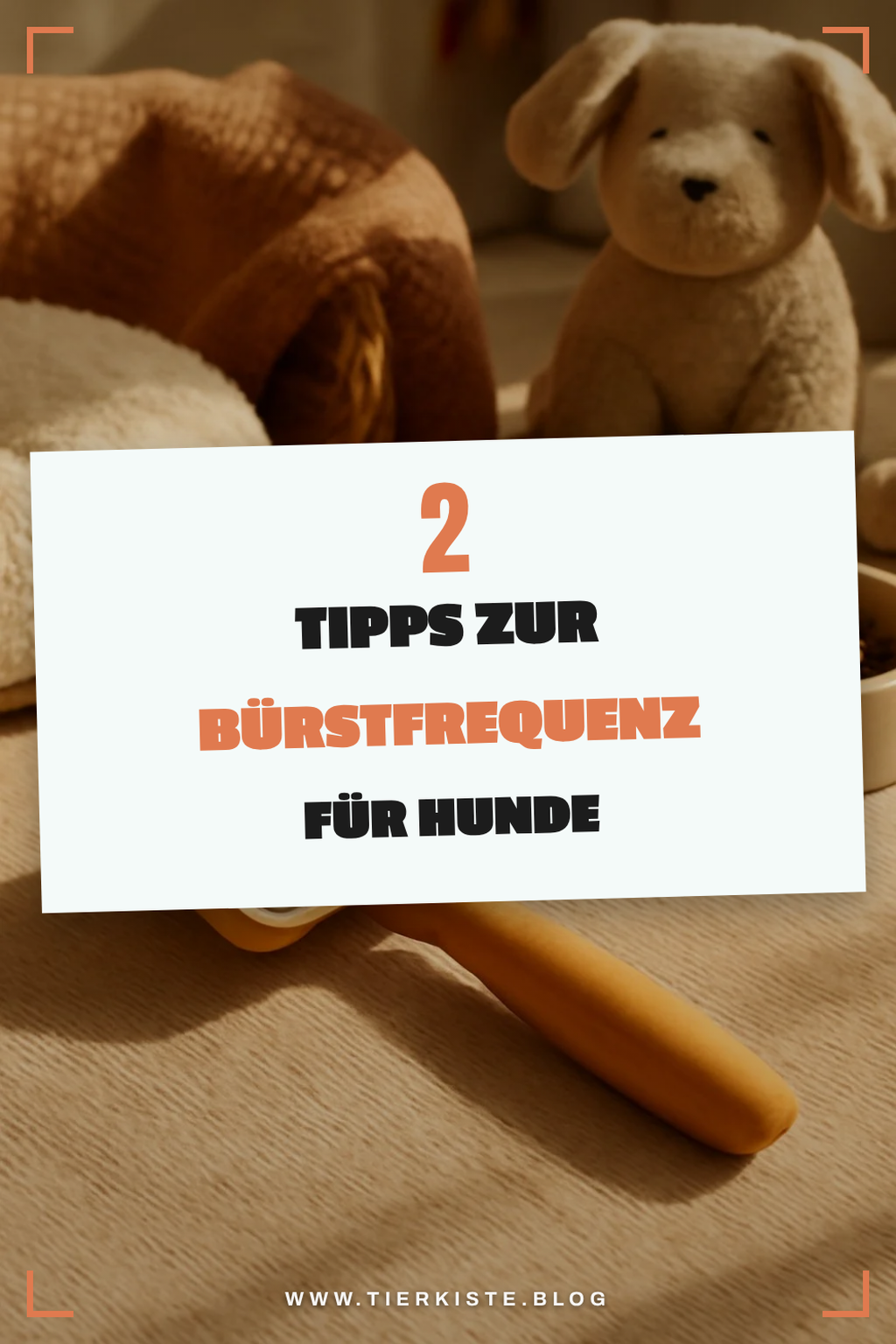 Wie oft sollte ich meinen Hund bürsten?