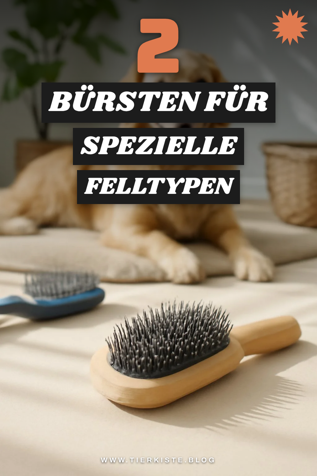 Besondere Bürsten für spezielle Bedürfnisse