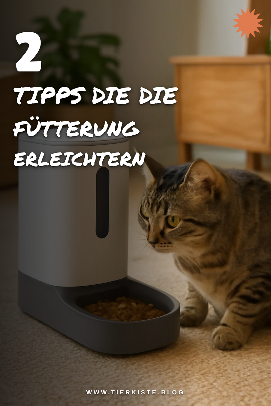 So nutzt du deinen Futterautomaten optimal für deine Katze
