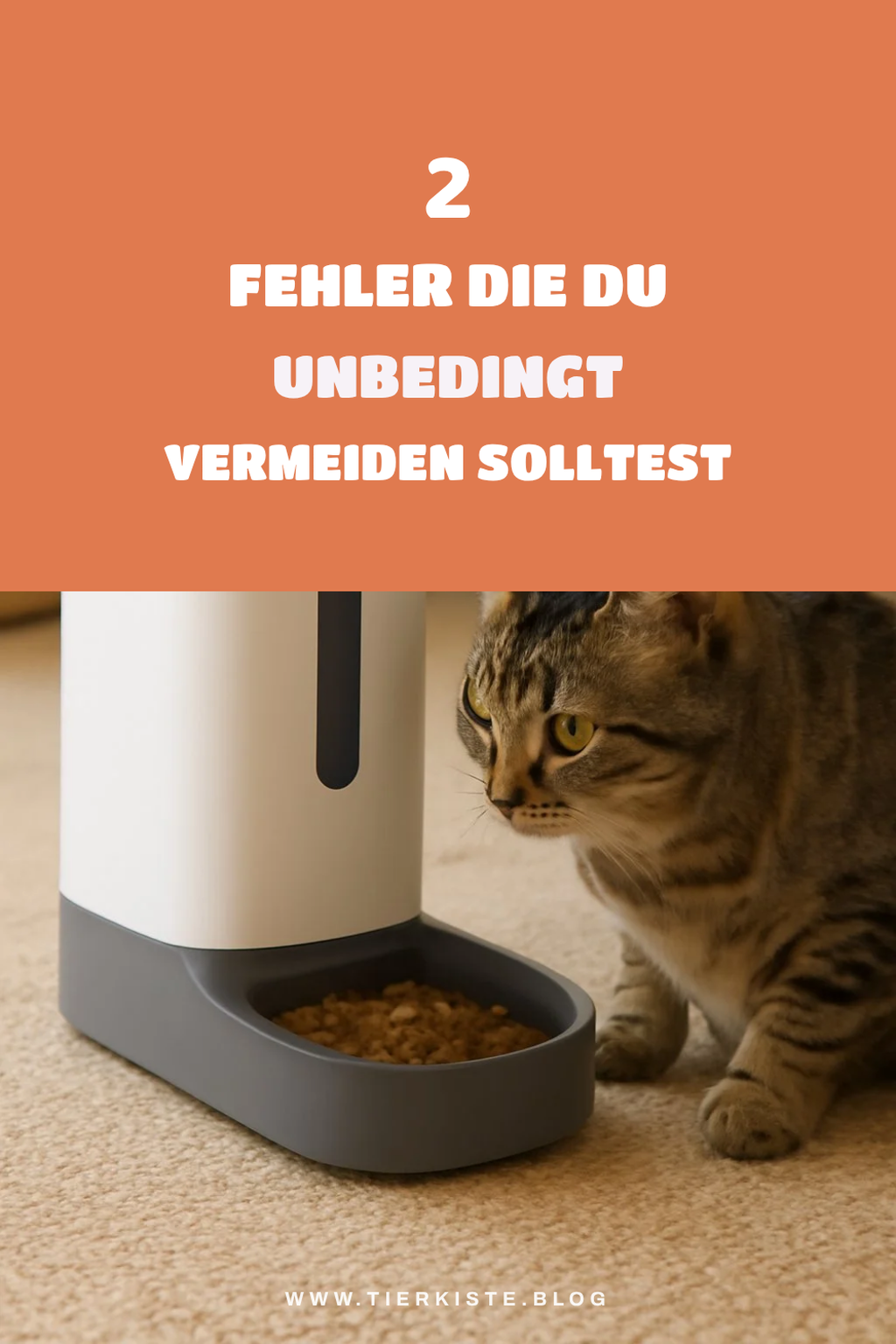 Häufige Fehler bei der Nutzung von Futterautomaten vermeiden