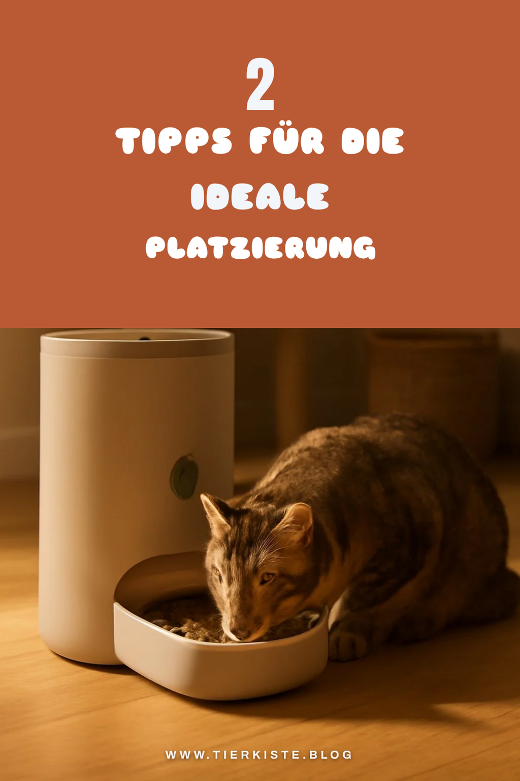 Die richtige Platzierung des Futterautomaten
