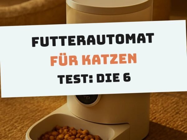 Futterautomat für Katzen Test: Die 6 zuverlässigsten