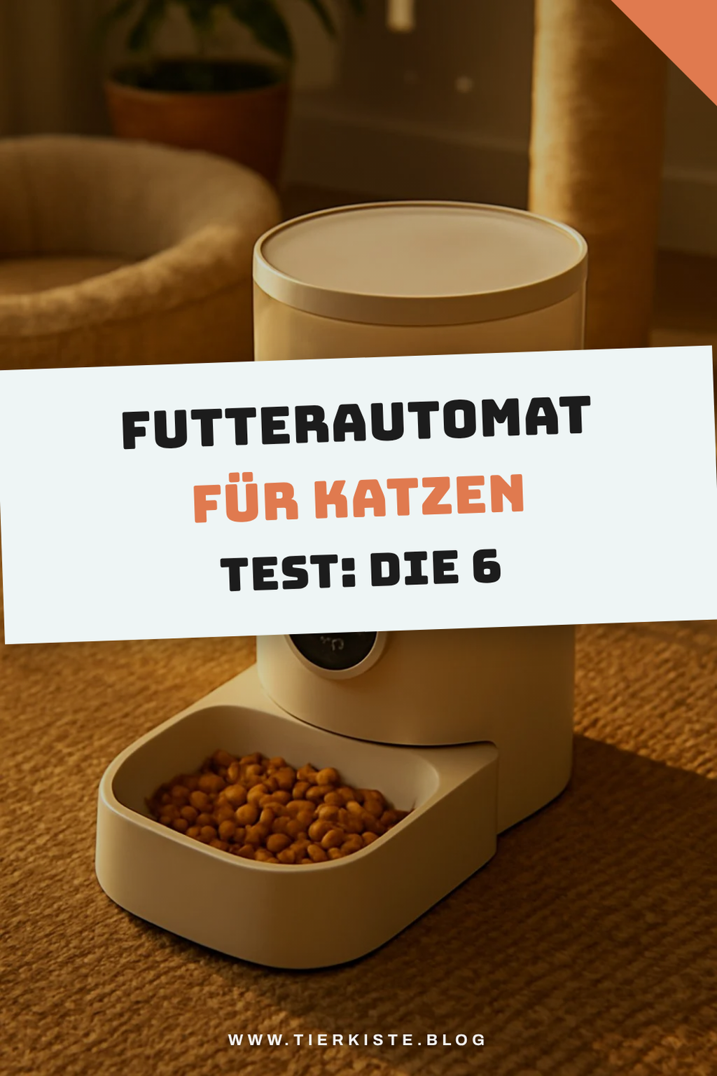 Futterautomat für Katzen Test: Die 6 zuverlässigsten