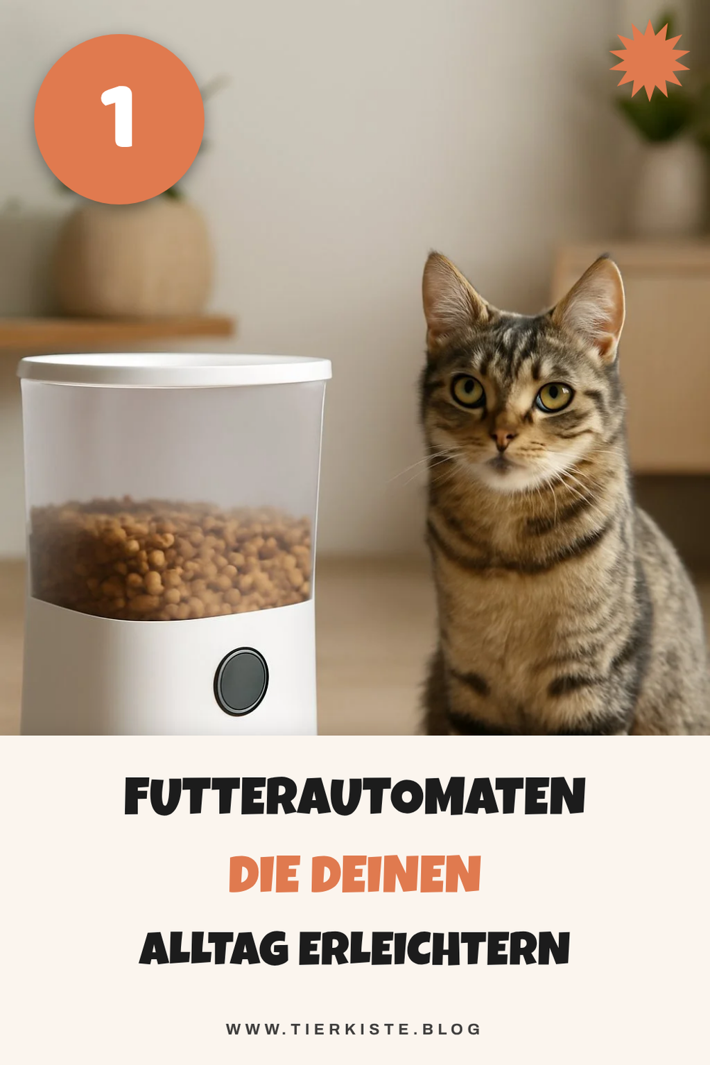 So findest du den besten Futterautomaten für deine Katze