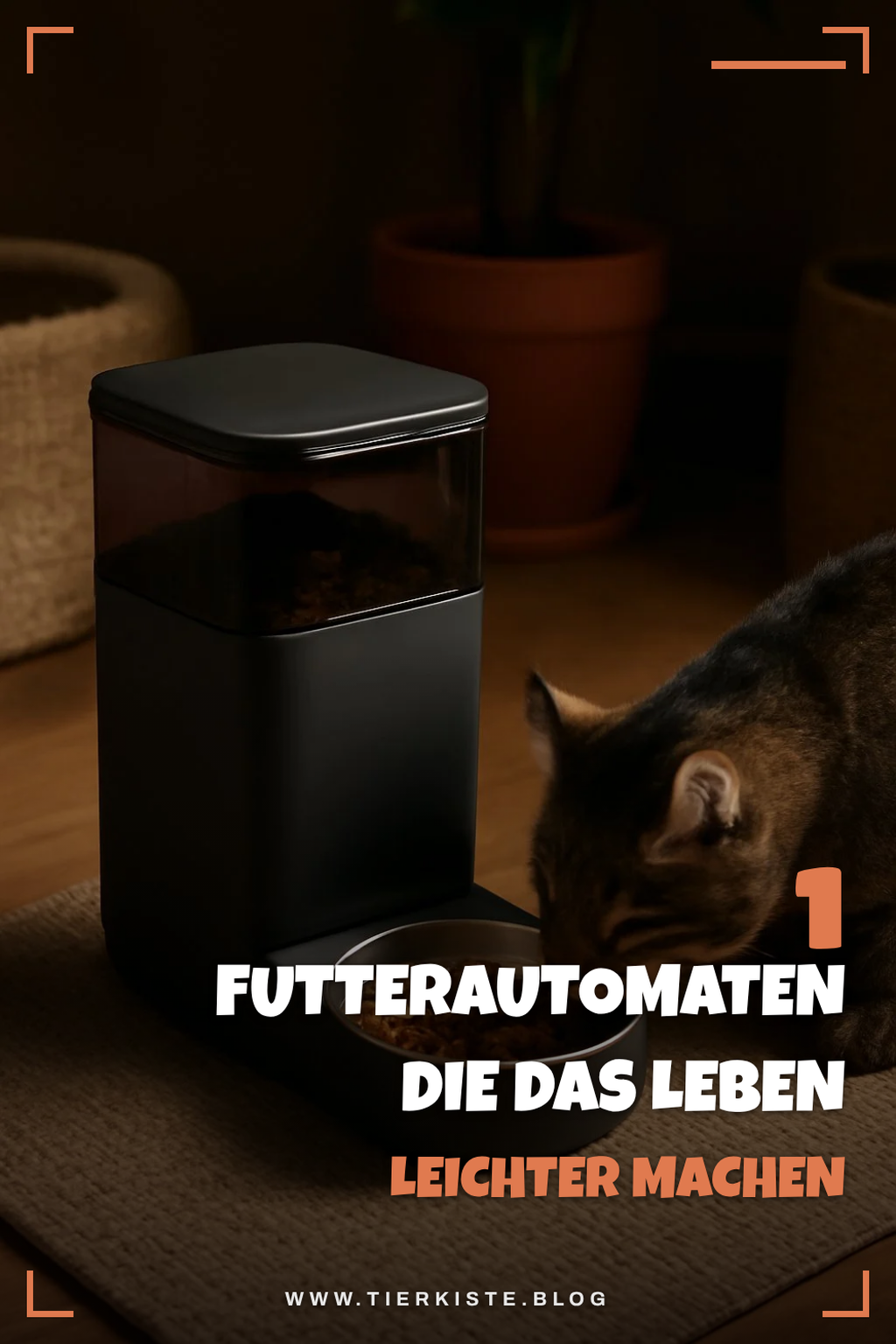 Mehr Empfehlungen aus dieser Kategorie