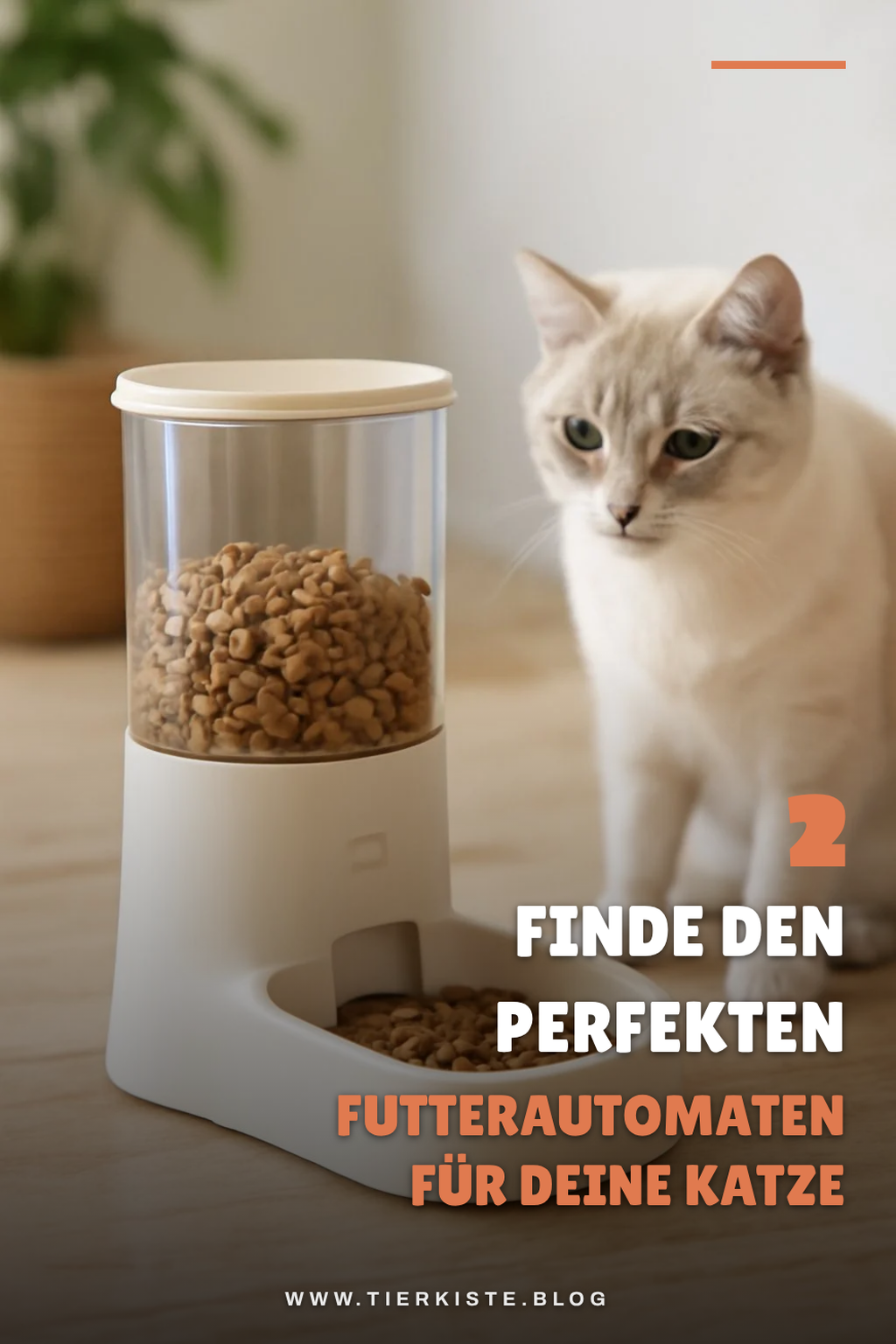 Welcher Futterautomat passt zu deiner Katze?