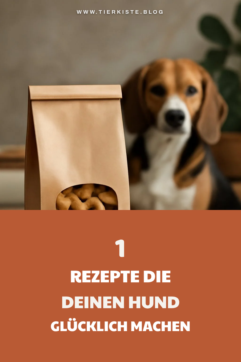 Bonus-Ideen für mehr Auswahl