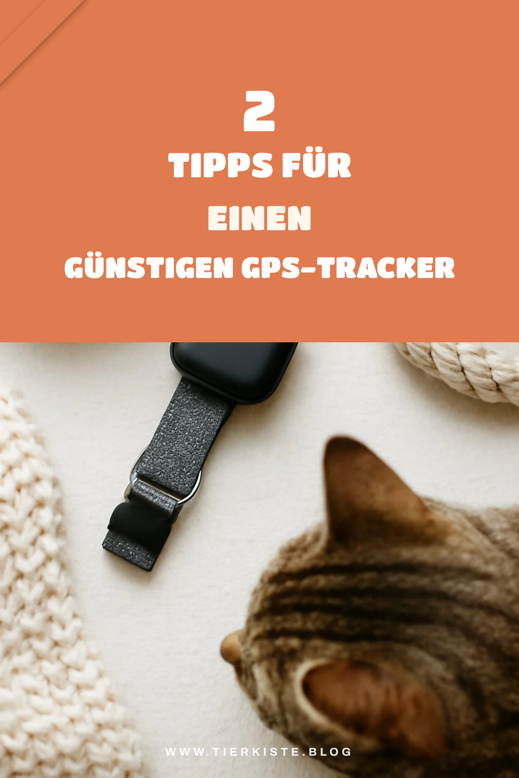 Kosteneffizienz und Preisvergleich
