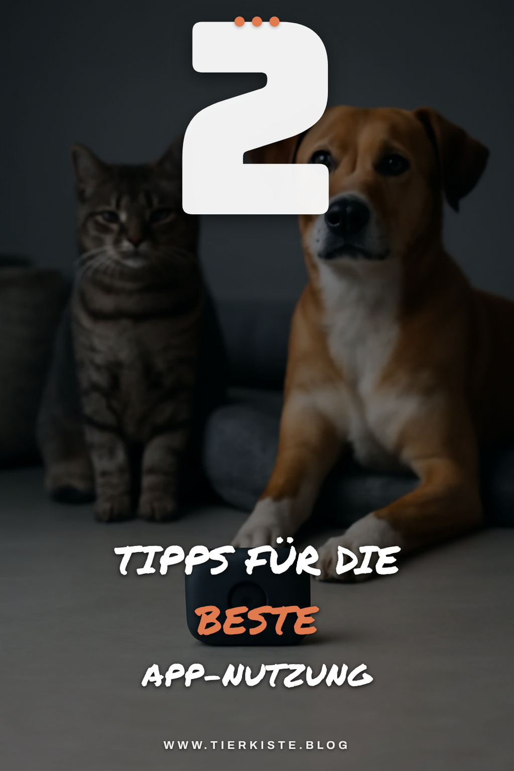 Benutzerfreundlichkeit und App-Funktionen