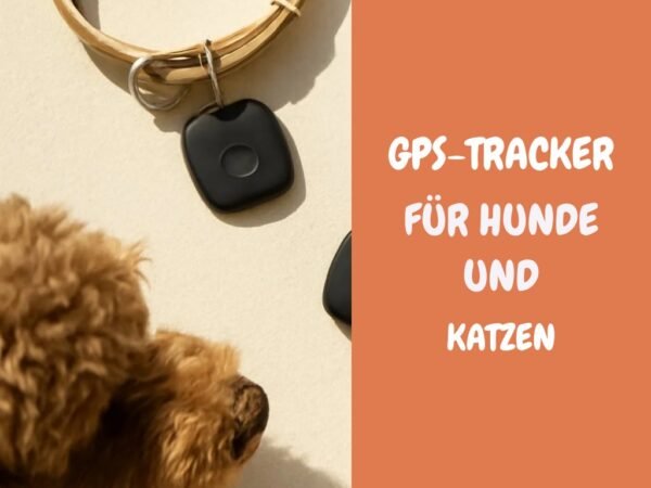 GPS-Tracker für Hunde und Katzen: Die 6 besten im Vergleich