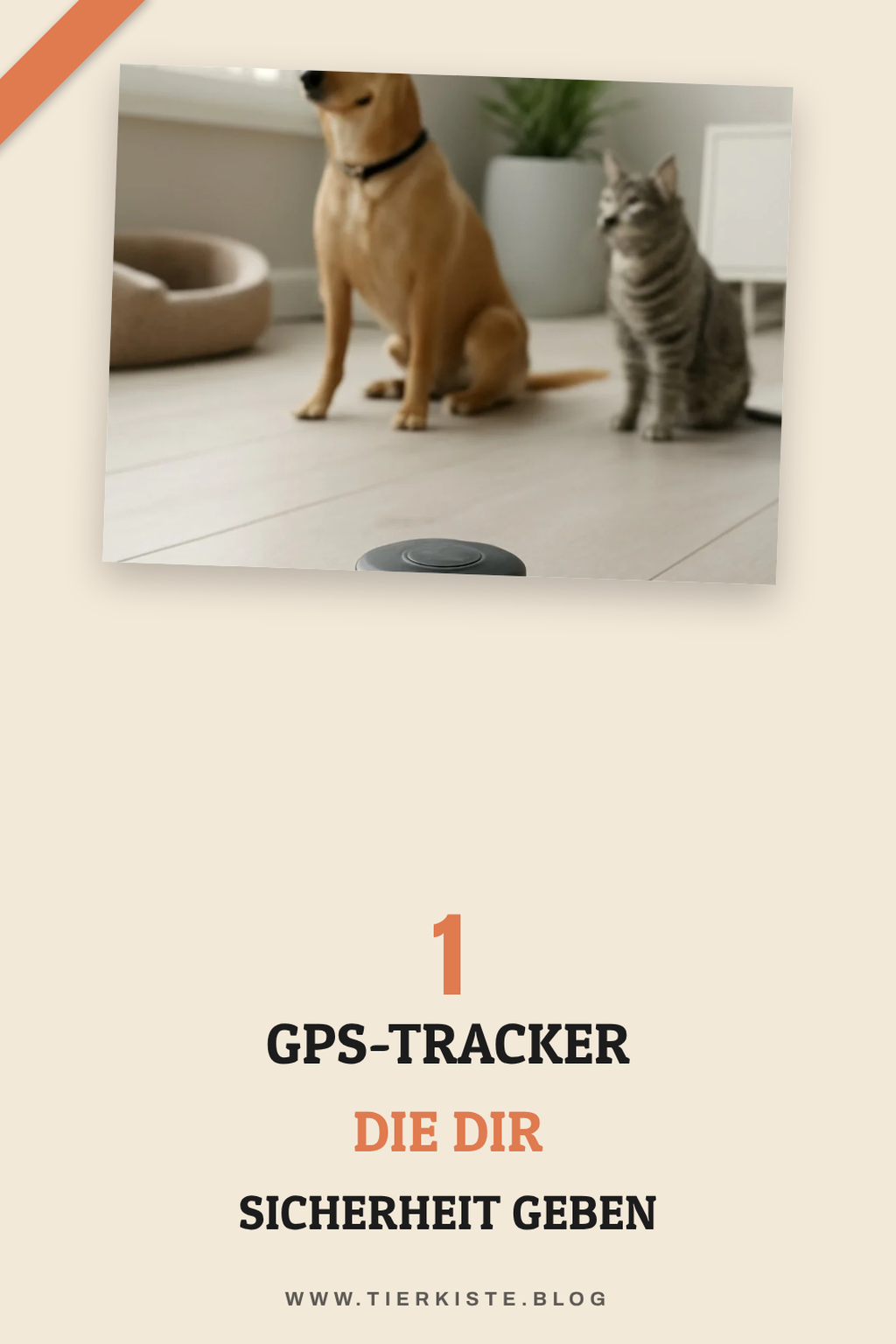So findest du deinen Hund oder deine Katze immer schnell wieder