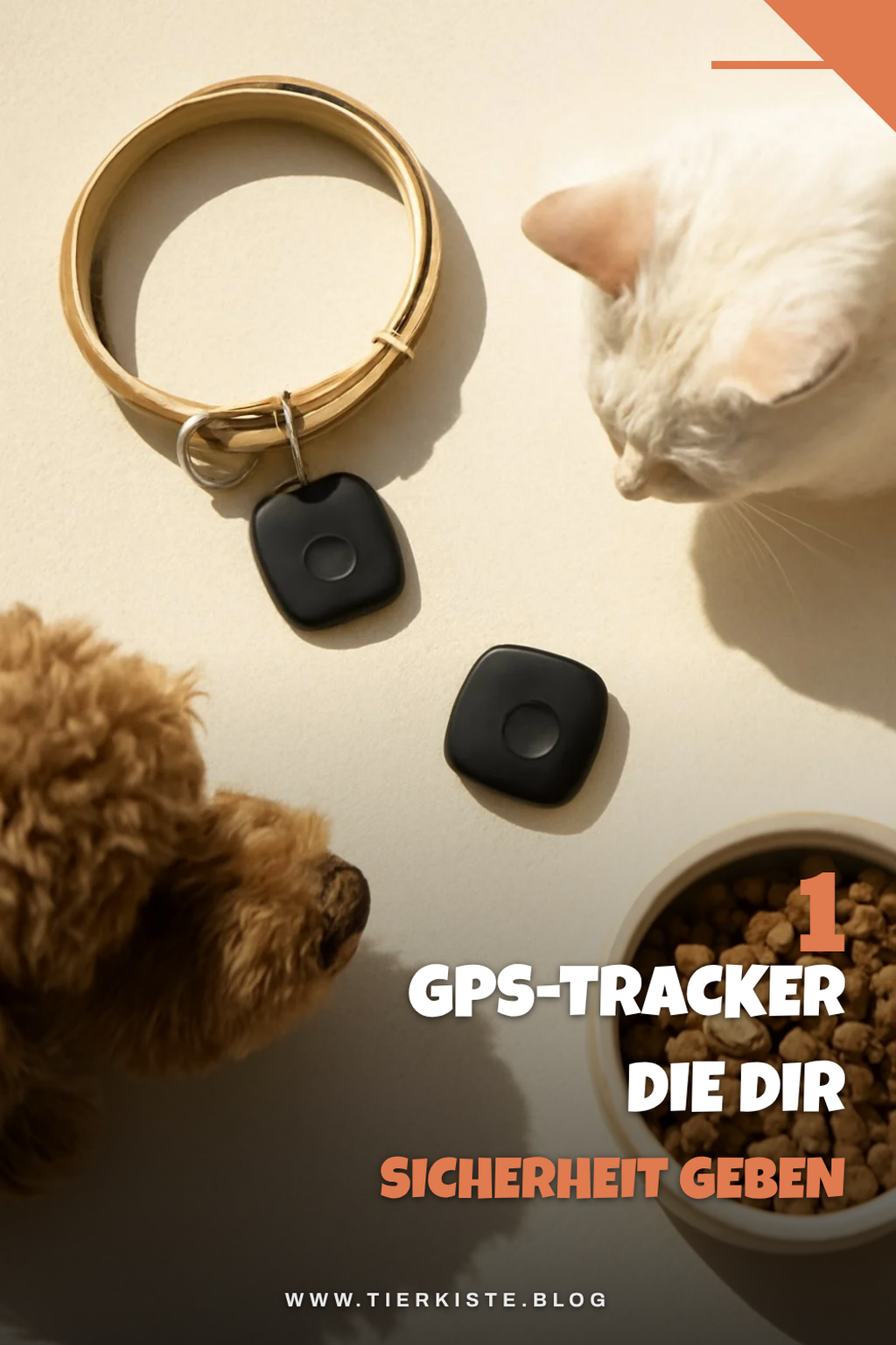 Mehr Empfehlungen aus dieser Kategorie