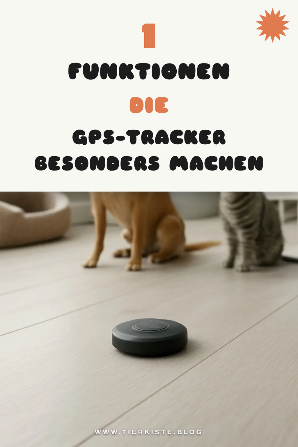 Diese Funktionen machen GPS-Tracker unverzichtbar