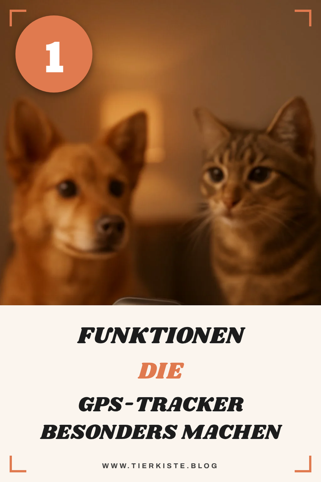Mehr Empfehlungen aus dieser Kategorie