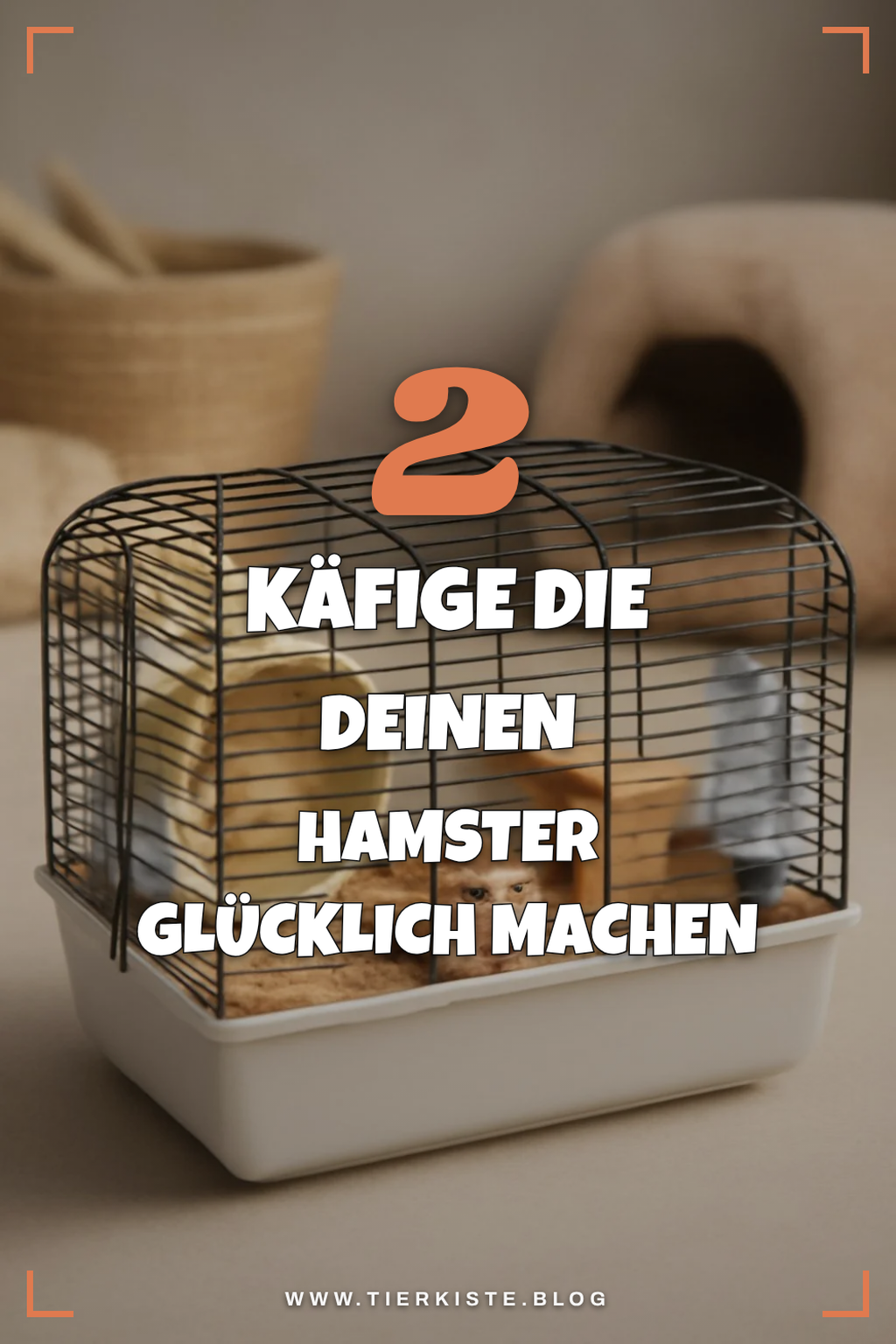 So findest du den perfekten Hamsterkäfig für dein Tier