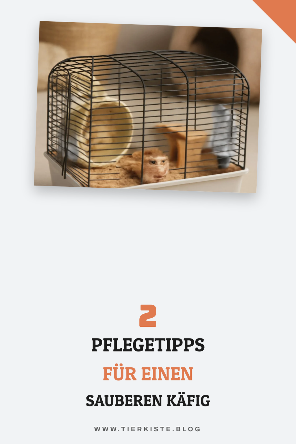 Wichtige Pflegehinweise für Hamsterkäfige