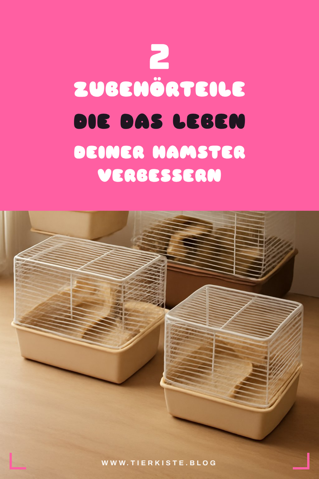 Diese 3 Zubehörteile verbessern das Leben deiner Hamster