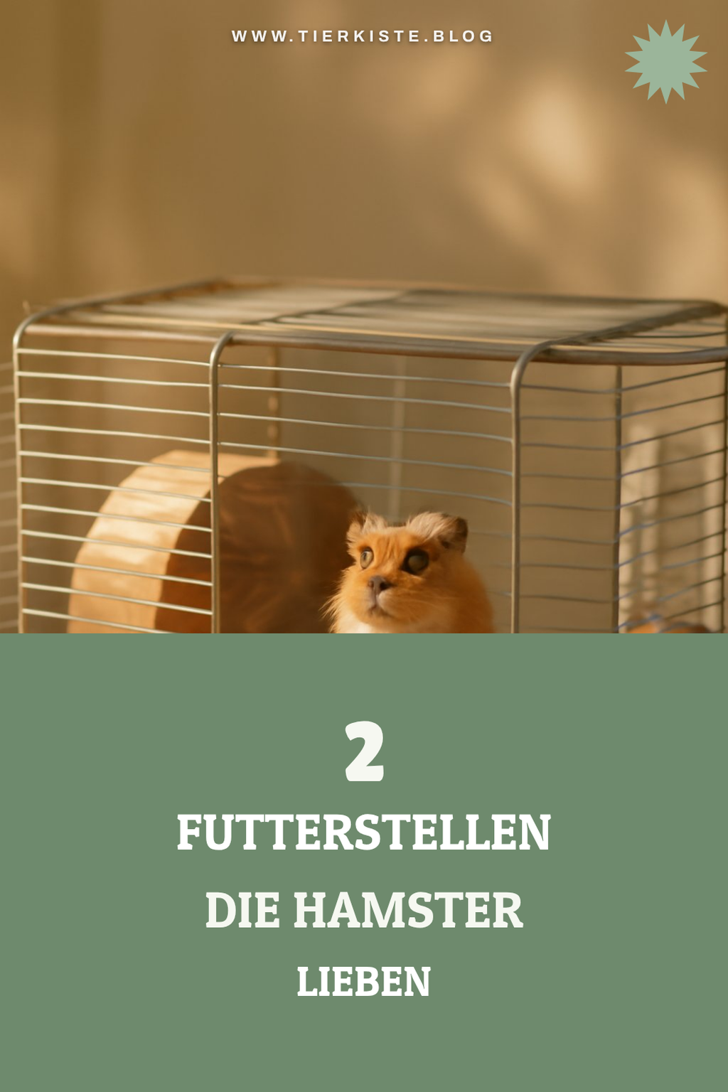 Die besten Futterstellen für Hamster