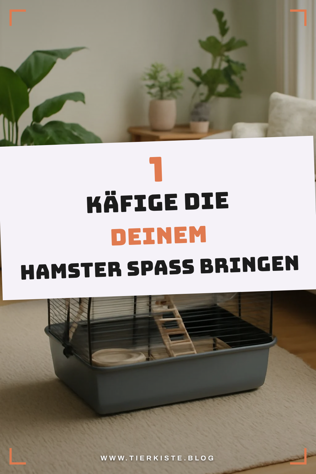 Diese 2 Picks lohnen sich extra
