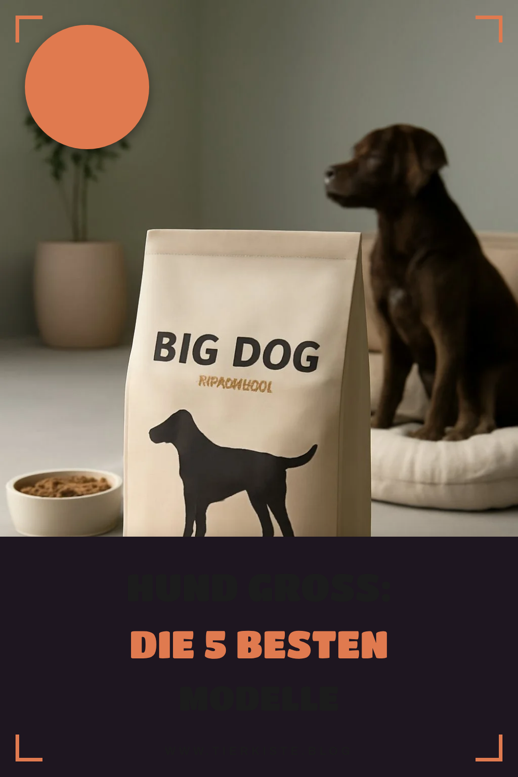 Hund Groß: Die 5 besten Modelle 2026 im Überblick