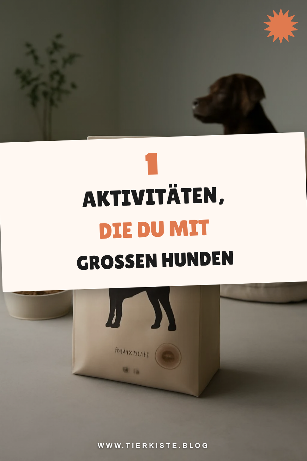 Aktiv bleiben mit großen Hunden