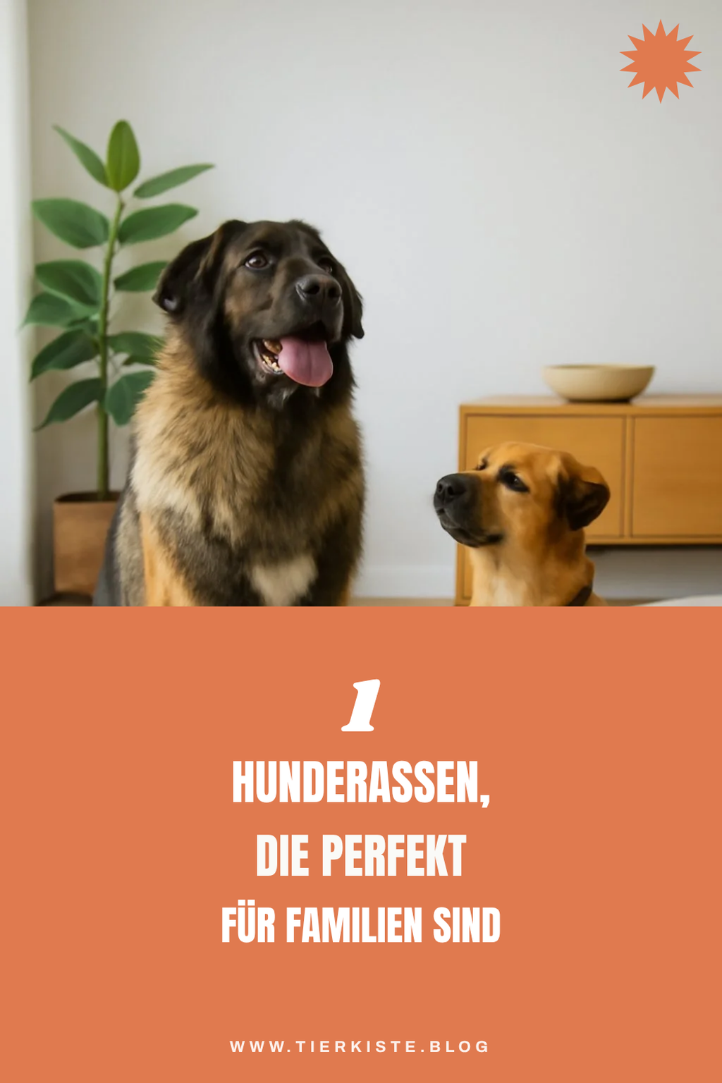 Die besten Hunderassen für große Familien