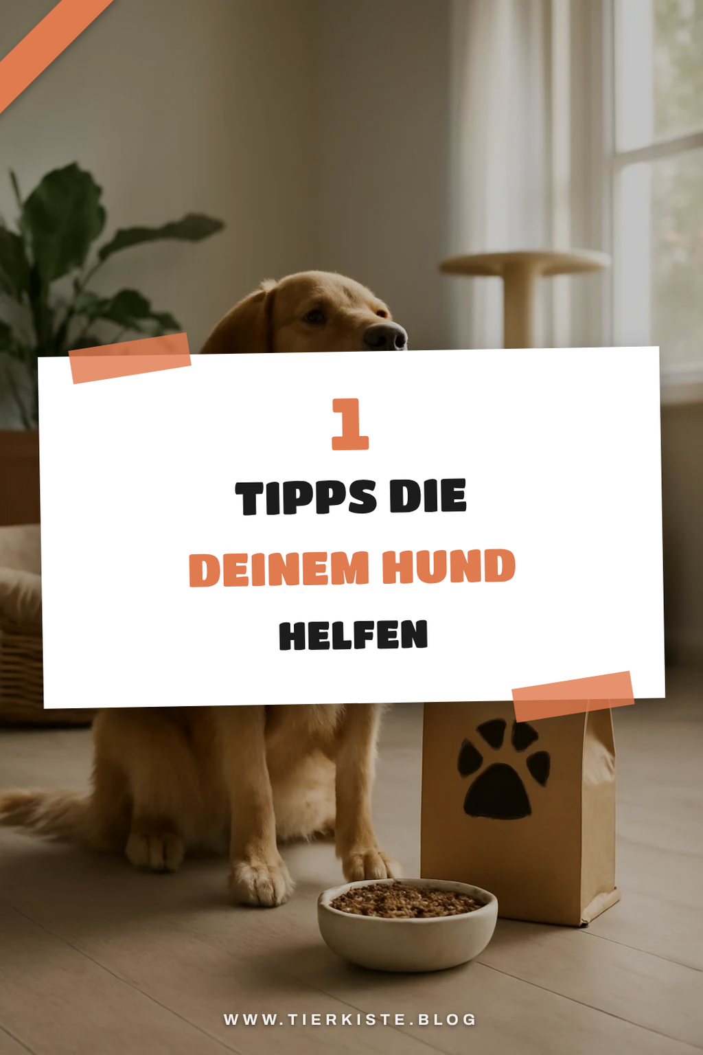 So hältst du deinen Hund gesund und glücklich