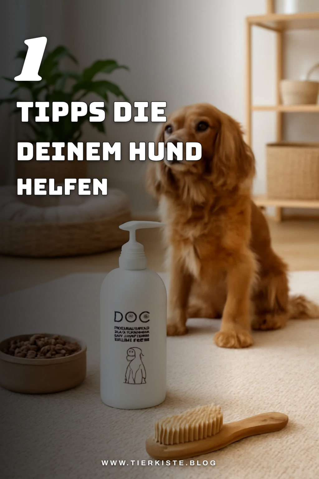 Mehr Empfehlungen aus dieser Kategorie