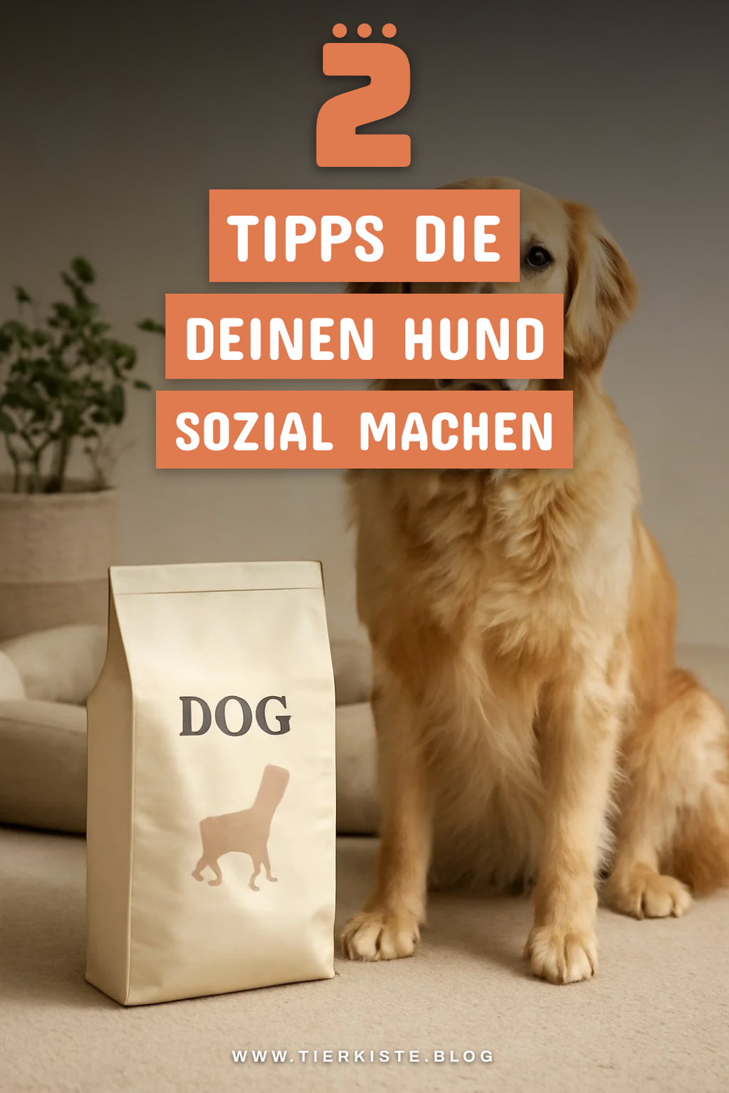 Sozialisation für ein glückliches Hundeleben