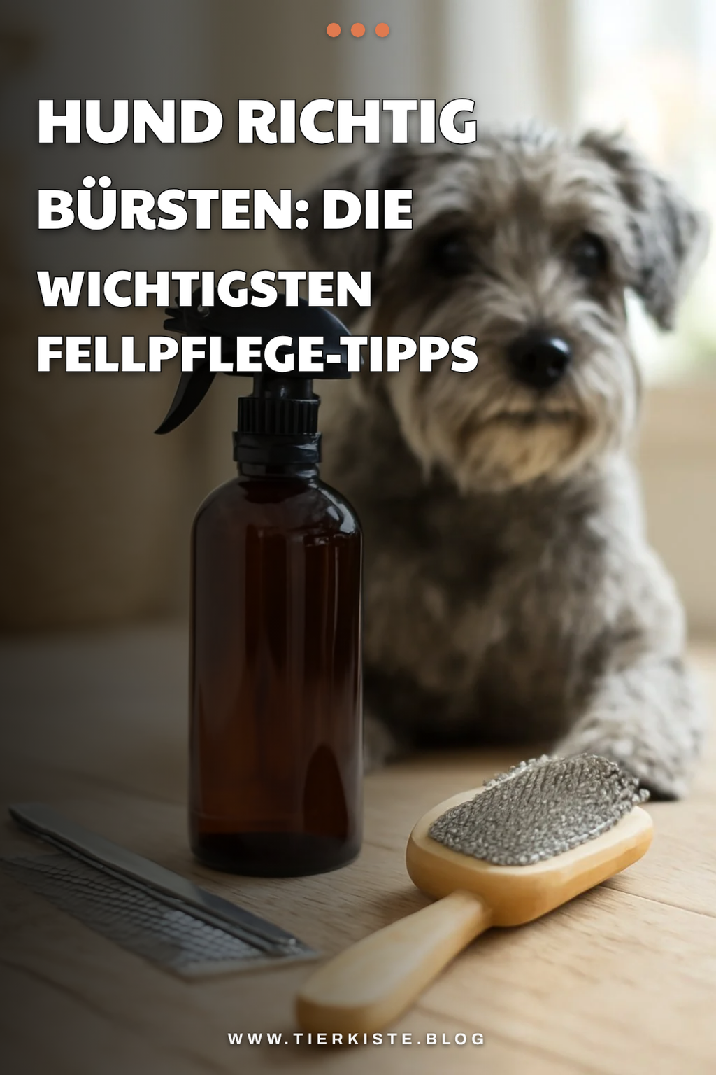 Hund richtig bürsten: Die wichtigsten Fellpflege-Tipps