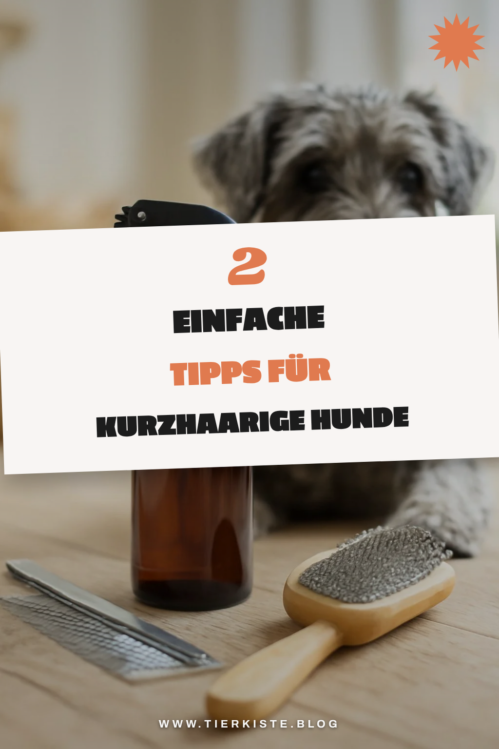 Pflege für kurzhaarige Hunde leicht gemacht