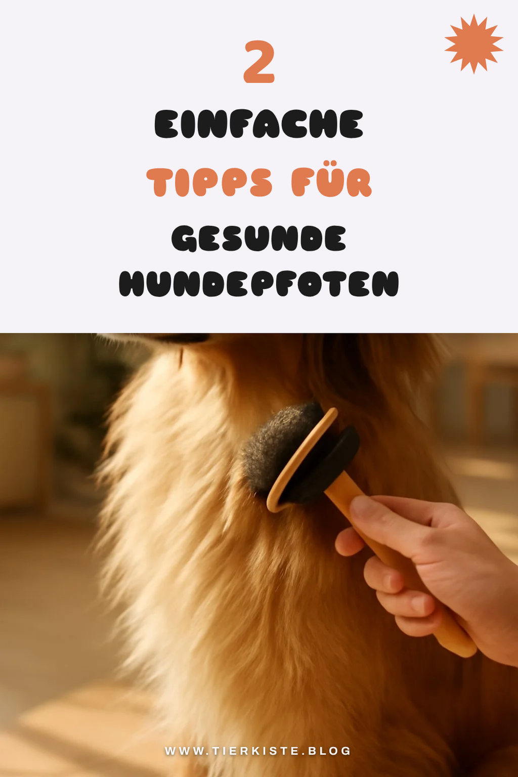 Tipps für empfindliche Hundepfoten