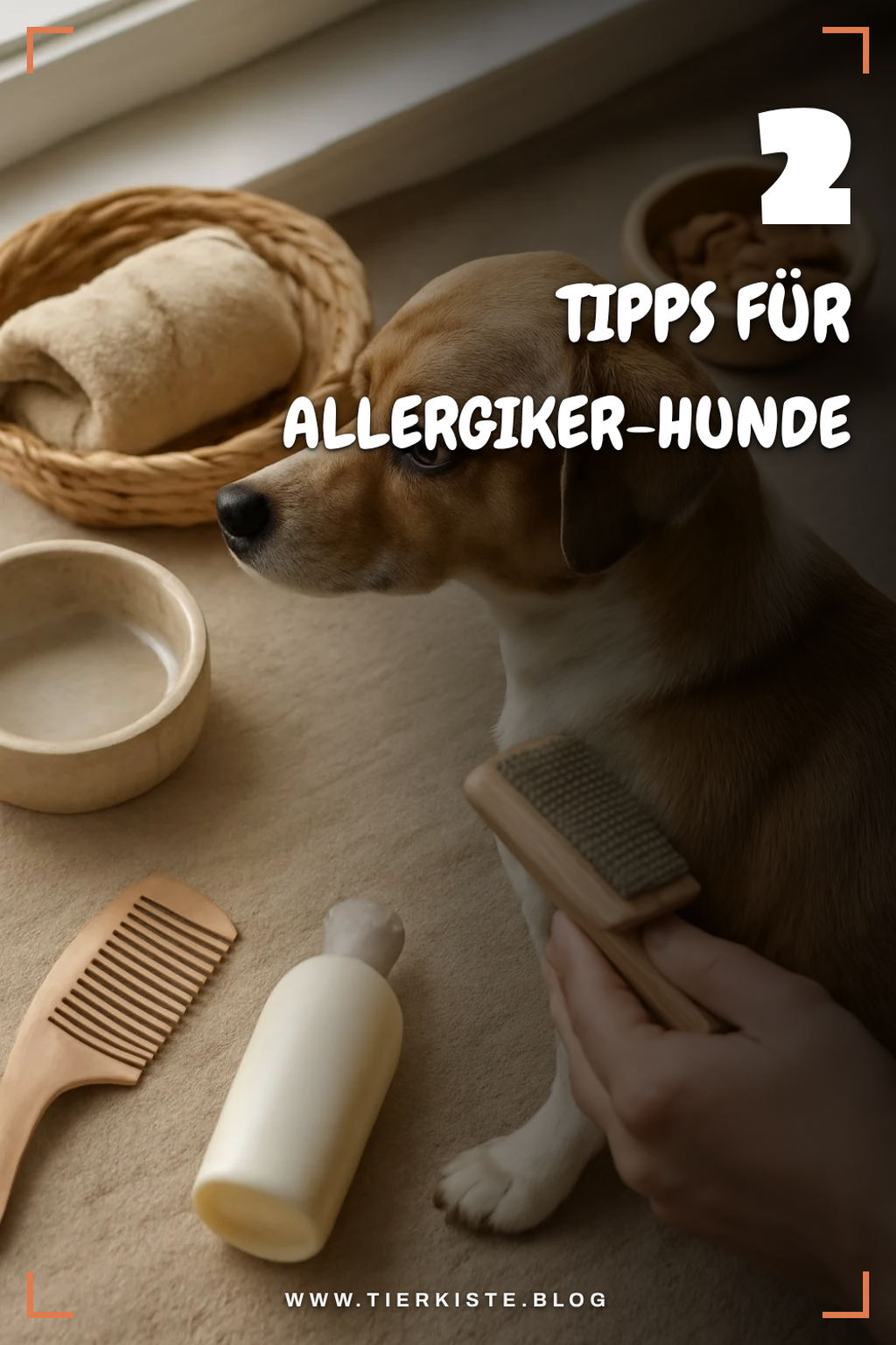 Fellpflege bei Allergien
