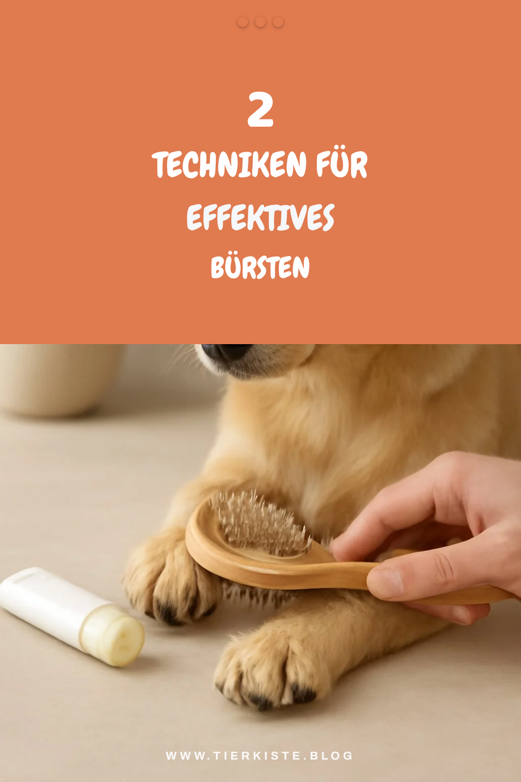 Die richtige Technik beim Bürsten