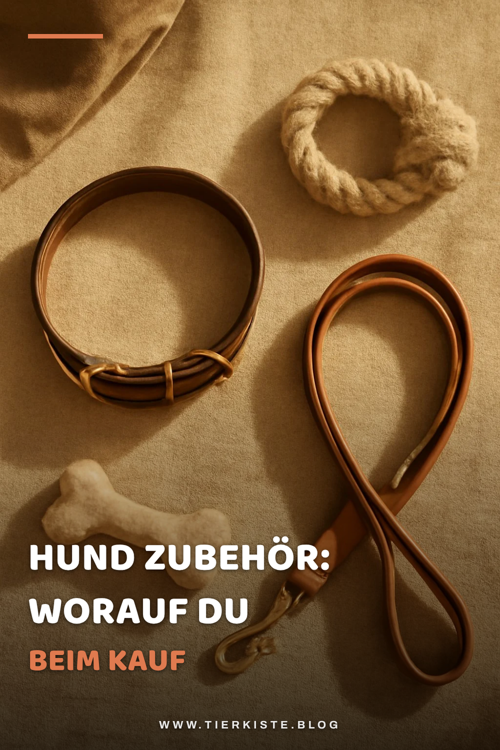 Hund Zubehör: Worauf du beim Kauf wirklich achten musst