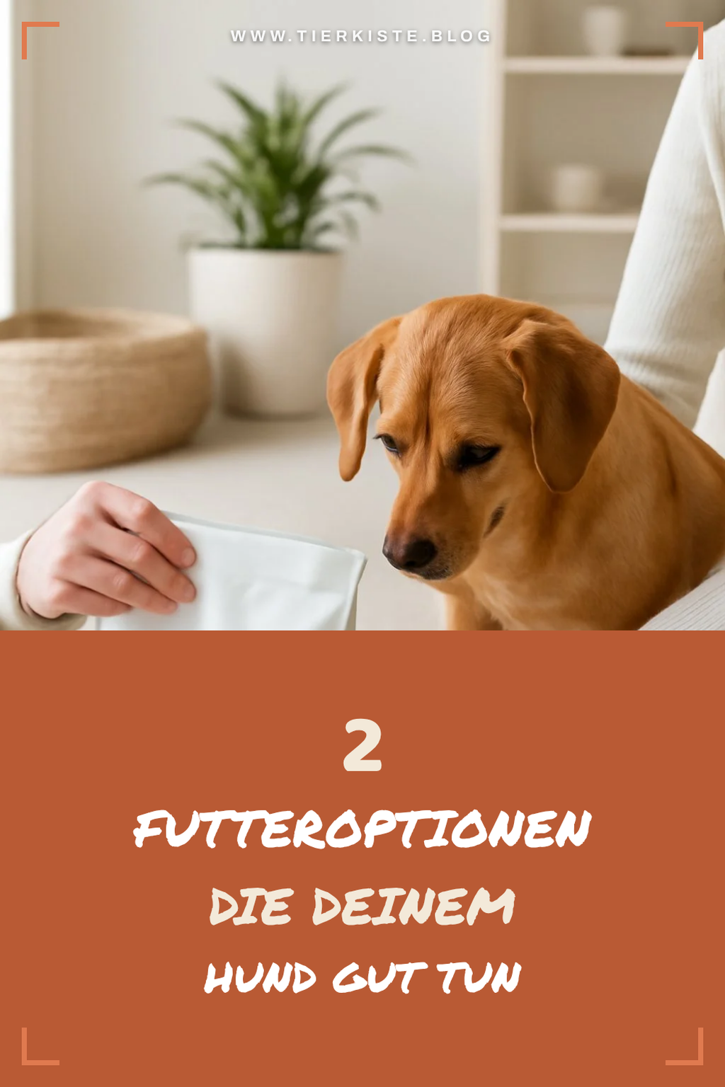 Wie du die besten Futteroptionen für deinen Hund auswählst