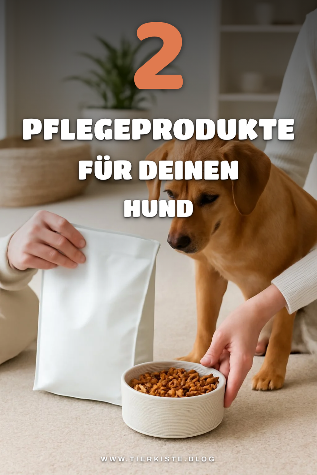 Pflegeprodukte für gesunde Hunde