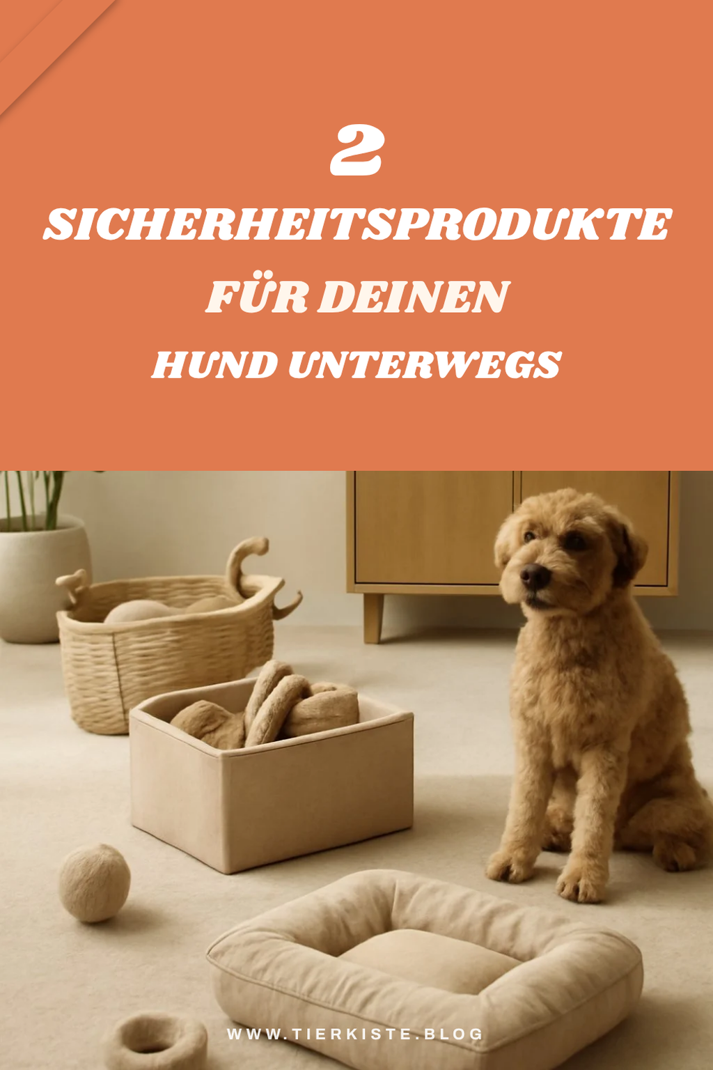 Sicheres Zubehör für unterwegs mit dem Hund