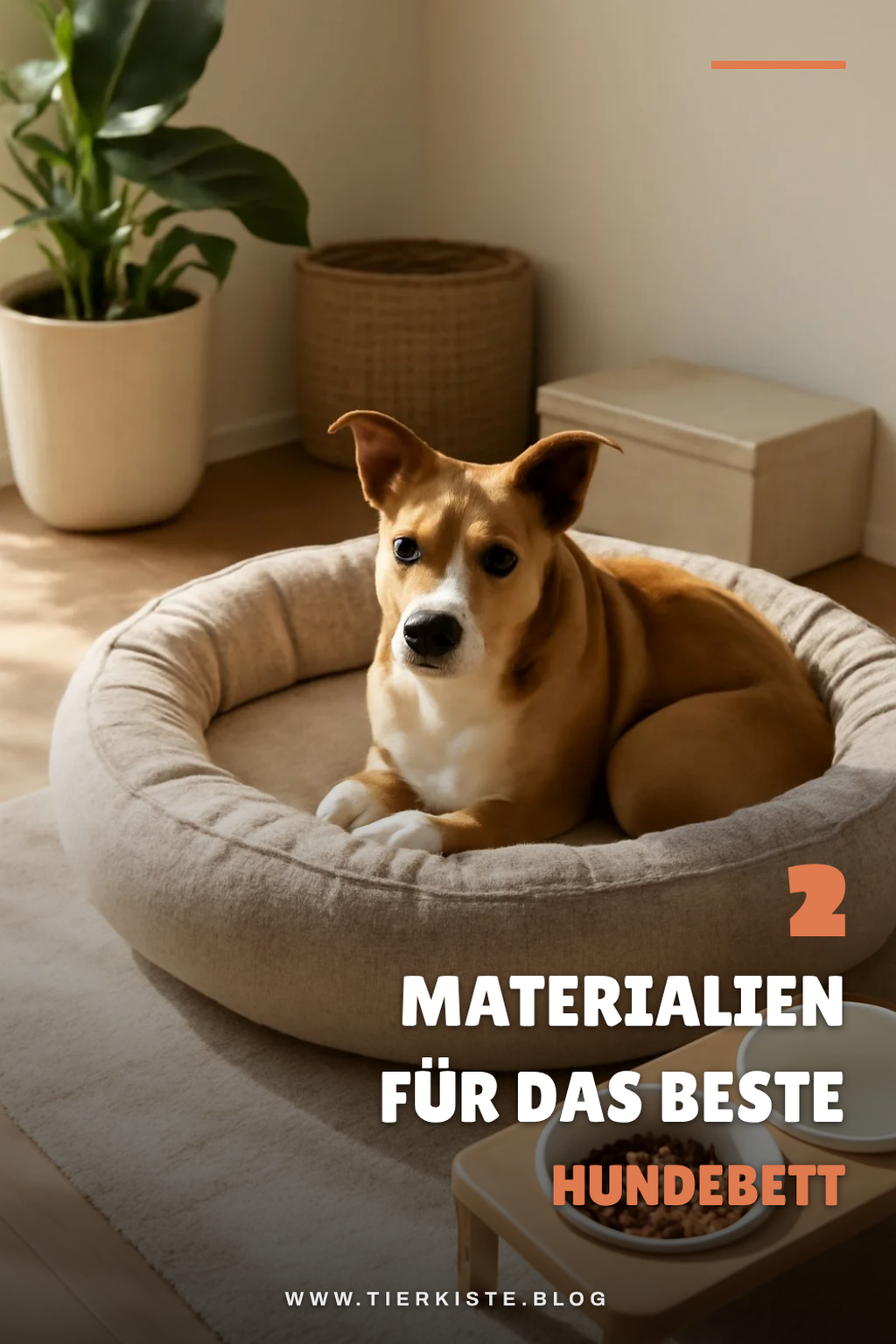 Materialien, die deinen Hund glücklich machen