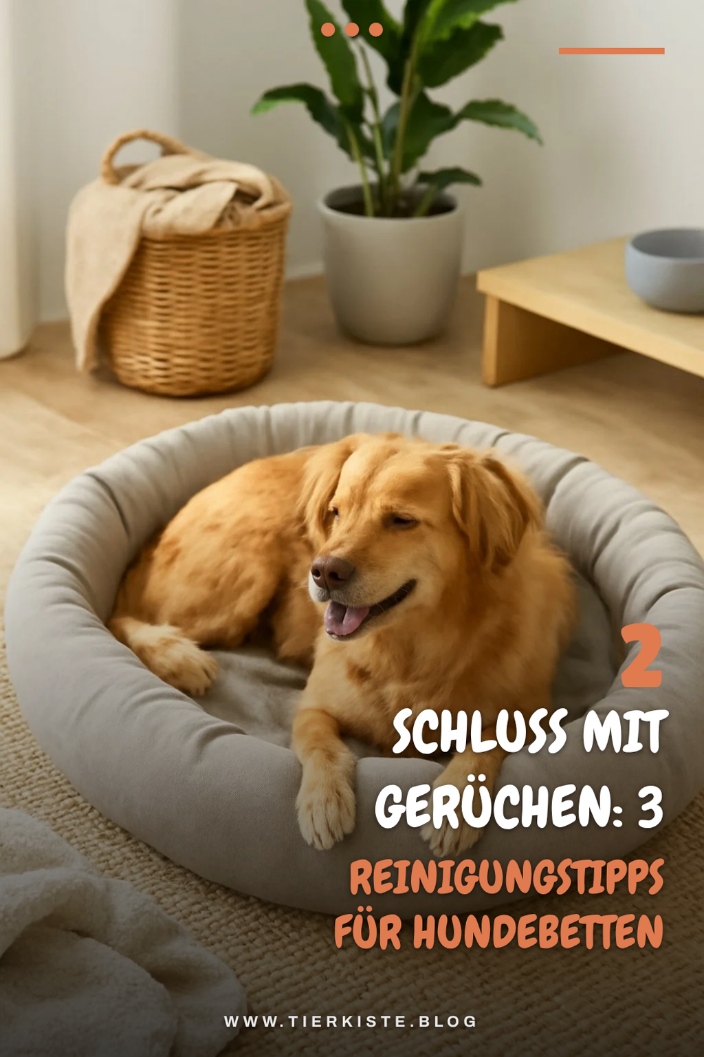 Pflege und Reinigung von Hundebetten