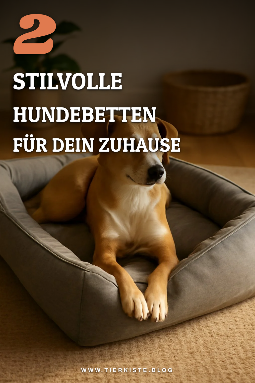 Stilvolle Designs für jedes Zuhause